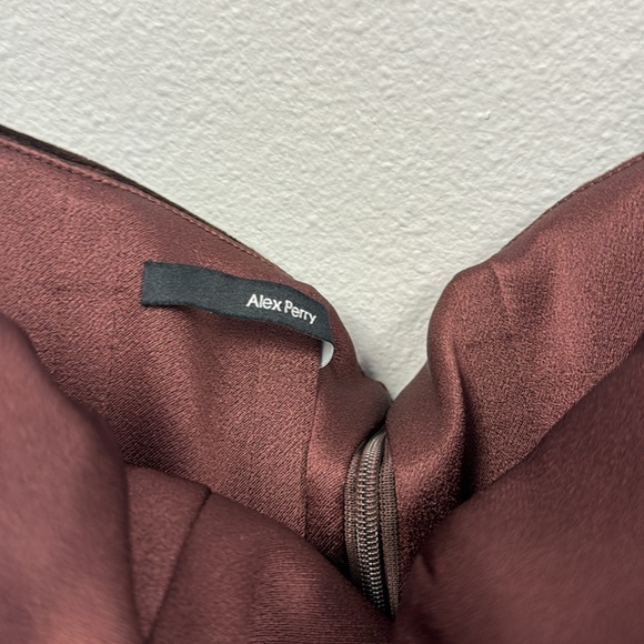 Layne velvet ruched dress - Picture 10 of 12